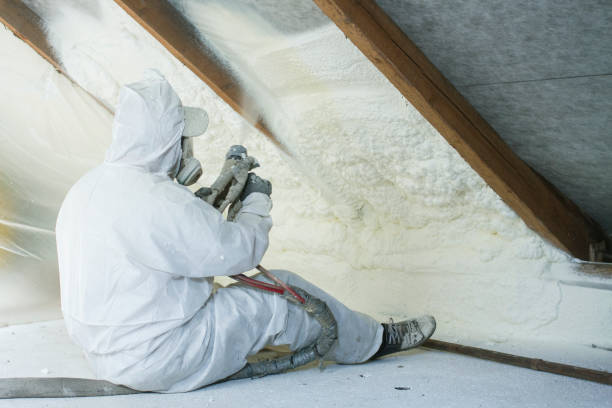 Best Eco-Friendly or Green Insulation Solutions in USA